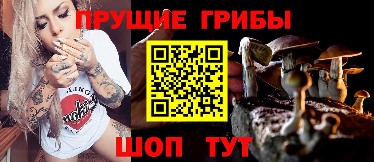 Муравленко  Псилоцибиновые грибы GOLDEN TEACHER  Псилоцибиновые грибы мицелий  Вход с VPN 